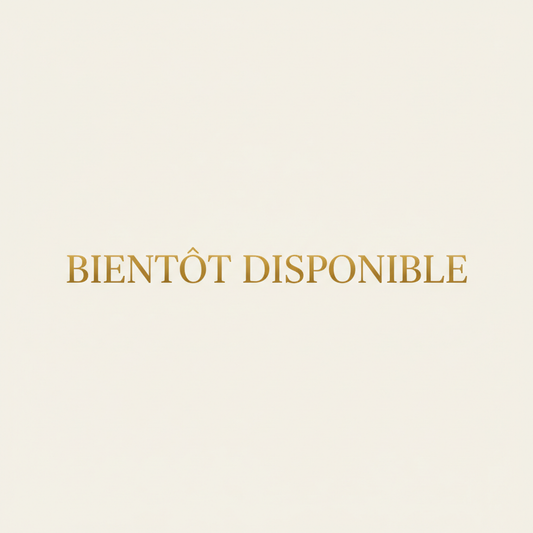 SIWARA PARIS - Bientôt disponible